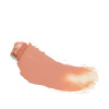 Luxury Nude Lips - 001 Nudity