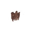 Matte Eye Liner - 014 Chocolate Brown